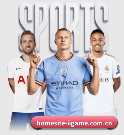 homesite-iigame.com.cn的方向